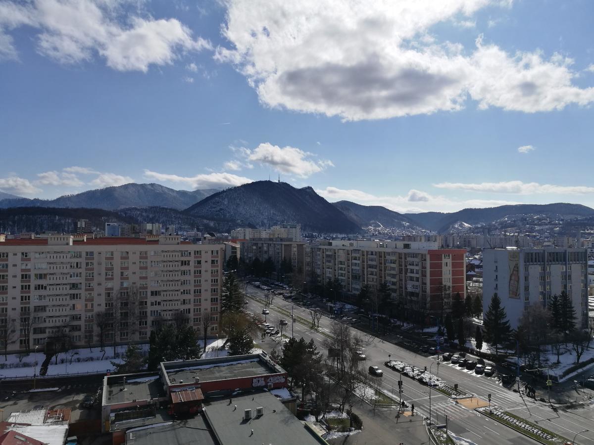 Excentric Studio 1 Брашов Екстер'єр фото